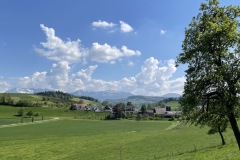 IMG_7521