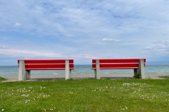 IMG_7605