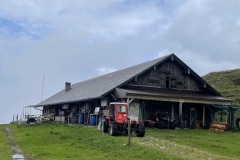 IMG_8368