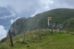 IMG_8377