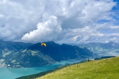 IMG_8405