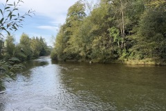IMG_0831