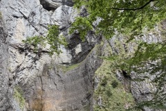 IMG_0871