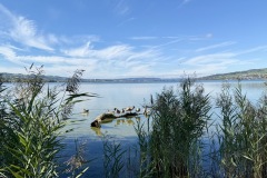 IMG_0891