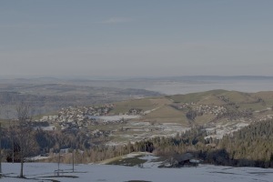 2026-01 Gustihütten-Feldlimoos