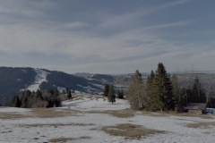 2025-01-Schneeschuhtour_12