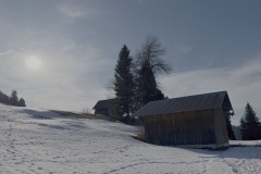 2025-01-Schneeschuhtour_14