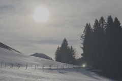 2025-01-Schneeschuhtour_3