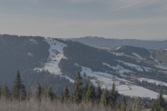 2025-01-Schneeschuhtour_6