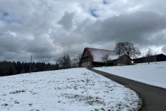 sigigen_03