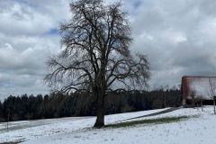 sigigen_07