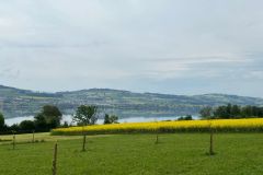 sempach_01