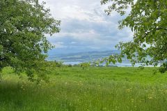 sempach_02