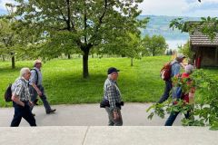 sempach_03