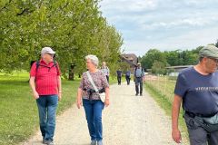 sempach_05