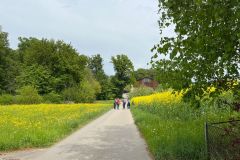 sempach_06