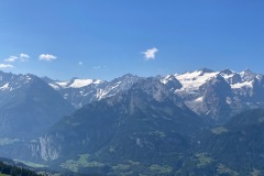gibel-2